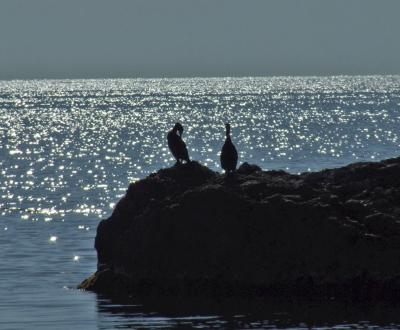 Прикрепленное изображение: DSCF7927.jpg